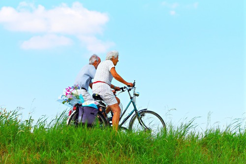 Dementia Care Ann Arbor