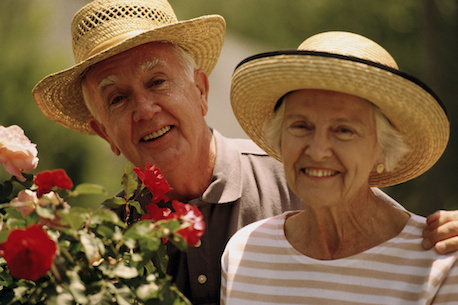 Happy Retired Couple Picture