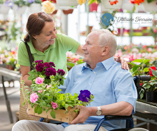 a senior shopping for flowers with a caregiver.