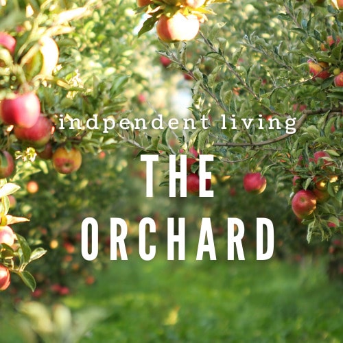 The Orchard: Independent Living